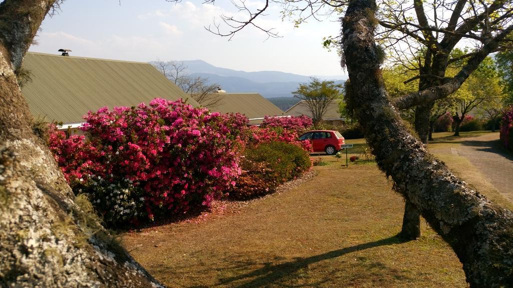 Kloofsig Holiday Cottages Graskop Dış mekan fotoğraf